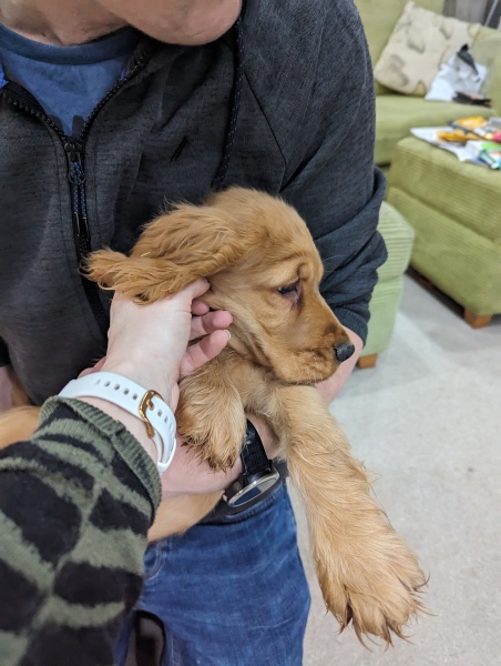 Anyone TTC Dec 2023…continued