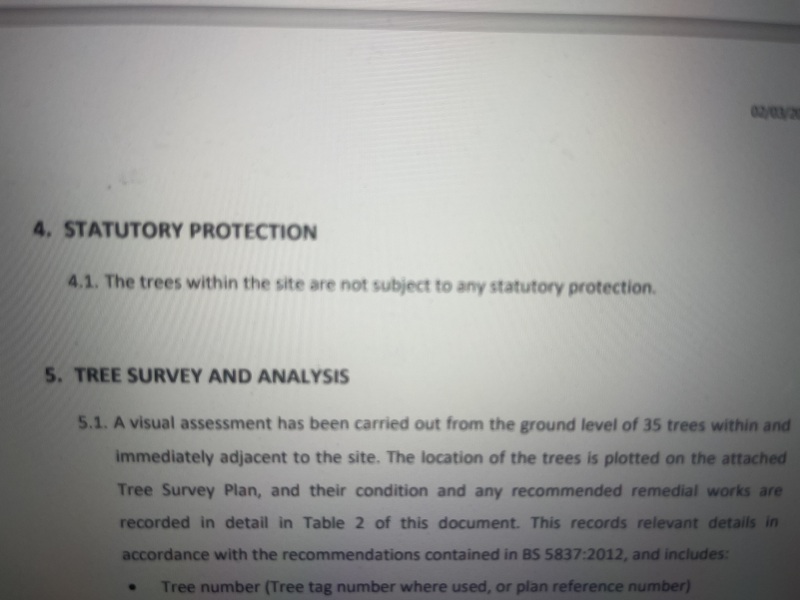 New Build - overhanging TPO Tree - pics