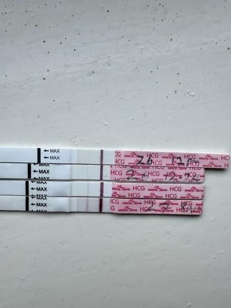 OCTOBER 2024 BABIES!