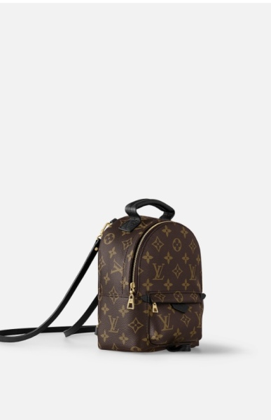 Which backpack Gucci or LV