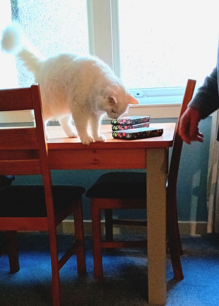 Christmas with the Excellent Cats