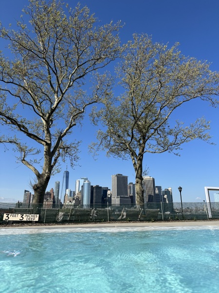 Anyone been to New York recently and loved it?