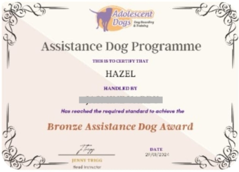 Puppy Survival Thread - for old and new pups heading into winter