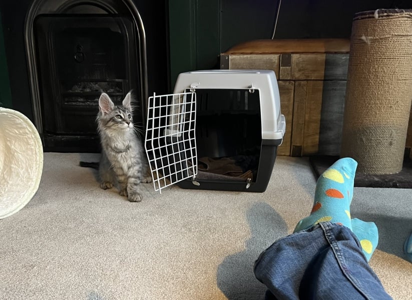 Help name this little girl
