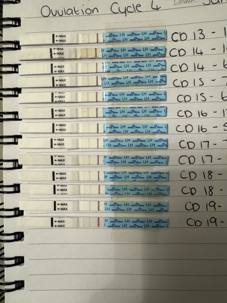 OVULATION TEST LOOK THE SAME