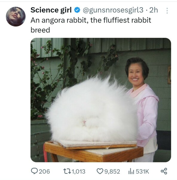 📚 'Rather Dated' and belated December: Monica Dickens's 'The Fancy' 📚