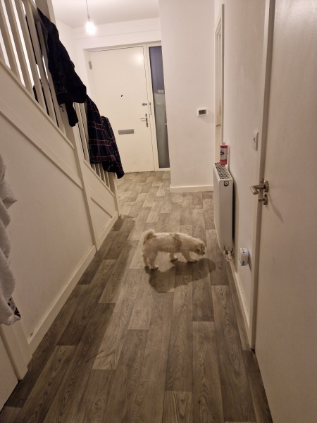 Tidy up shithole house weekend pics included