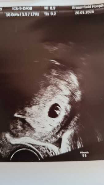 Due September 2024 PART 2 💛🧡💚💙💜