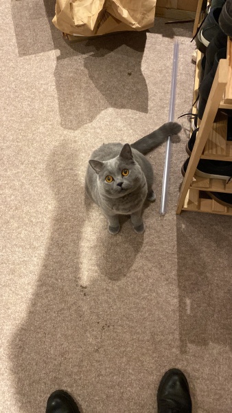 Thread 11 - TalkLair: “The candle flame gutters. Its little pool of light trembles.”