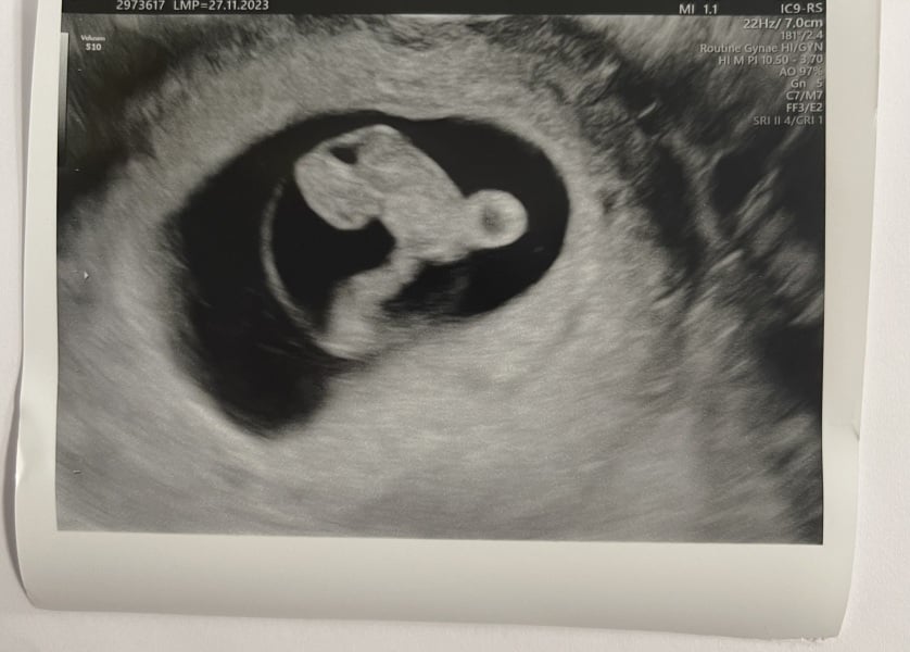 Due September 2024 PART 2 💛🧡💚💙💜