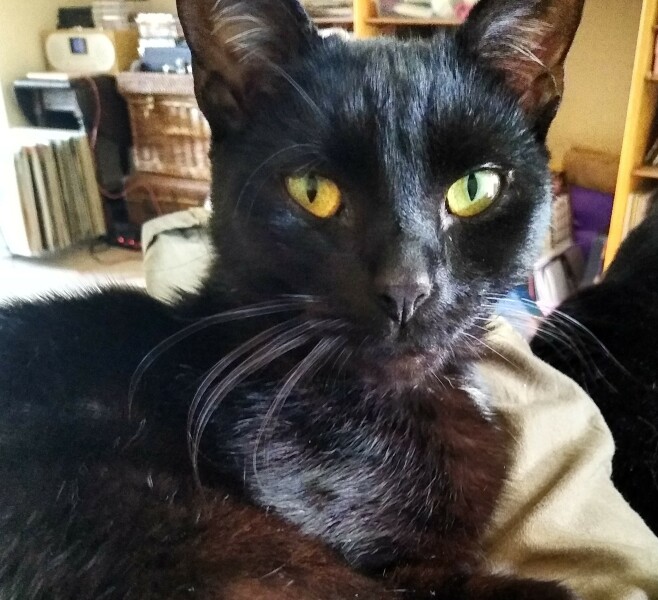 Thread 11 - TalkLair: “The candle flame gutters. Its little pool of light trembles.”