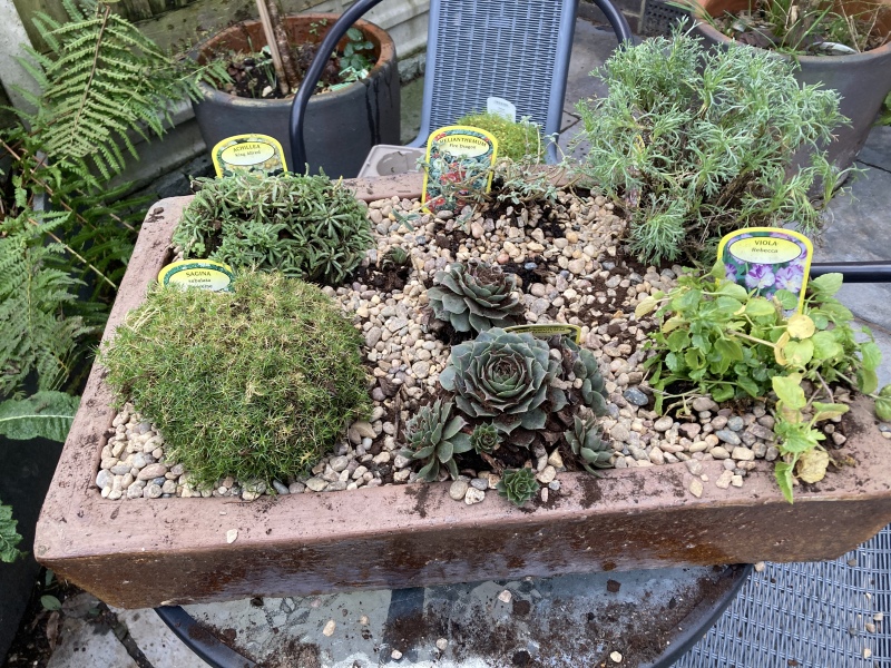 What have you done in the garden today? Part 3