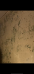 New plaster blown - please help!