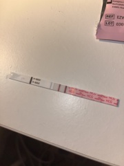 Test looks lighter 5w 1d