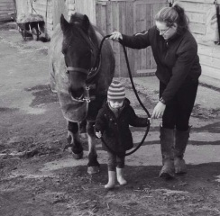 Buying toddler Shetland or something to last longer ?