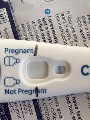 Clear blue test. Evap line or positive
