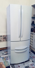 Has anyone here painted their fridge?