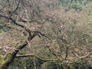 Come and tell me your dull and unexciting news 28: Calmly through the day