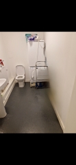 Want to do something a bit mad/different with down stairs toilet (pics)