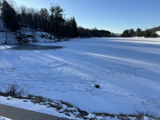 Come and tell me your dull and unexciting news 28: Calmly through the day