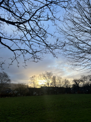 ⭐️LOSE IT! January 2024 Reset & Renew⭐️