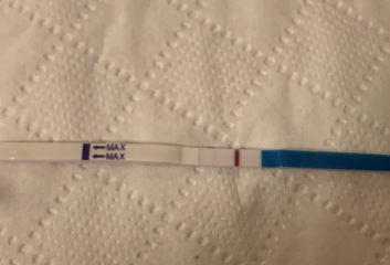 Pregnancy after miscarriage, can you see it?