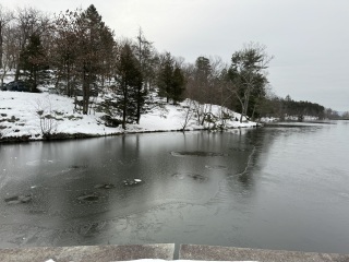 Come and tell me your dull and unexciting news 28: Calmly through the day