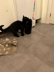 Would anyone like to meet our new babies?