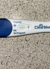 Clear blue evap line or +?