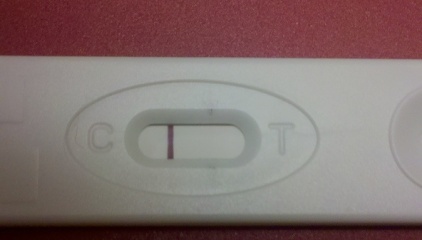 OCTOBER 2024 BABIES!