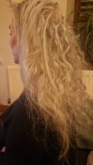 Nobody likes my greying hair!