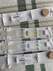 Am I losing my mind could I be pregnant?