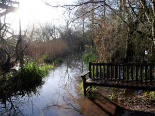 Thread 49 - Covid GCSE Cohort - The nights are drawing in...