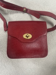 Any Mulberry experts here?