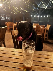 Pet photo thread