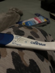 Evap line? Clearblue