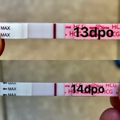 Faint lines.. chemical pregnancy?