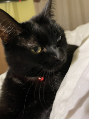 Come and tell me your dull and unexciting news 28: Calmly through the day