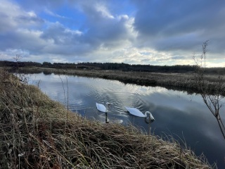 Come chat hiking with me!