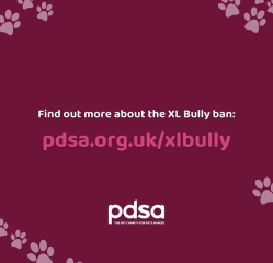 XL bully type question