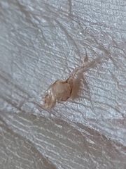 Can anyone identify please