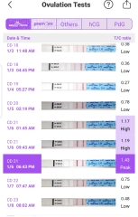 BFP - Did your BBT rise after LH peak/ovulation?
