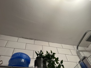 Is this damp/mould or something worse?