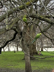 Come and tell me your dull and unexciting news 28: Calmly through the day