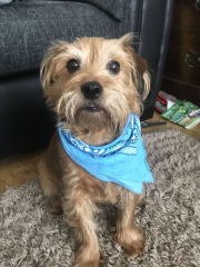 Pet photo thread