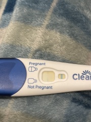 Clear blue test. Evap line or positive