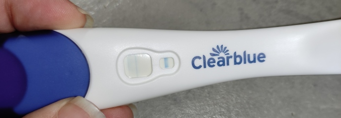 Clear blue test. Evap line or positive