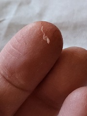 Can anyone identify please