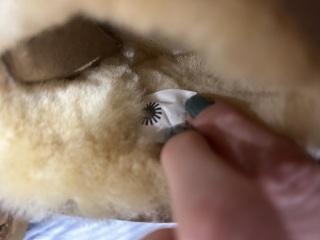 Have I been scammed? Are these UGG boots genuine?