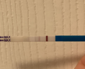 Pregnancy after miscarriage, can you see it?